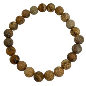 Jasper Gemstone Beaded Stretch Bracelet Round Natural Stone Brown Tan Neutral